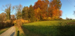 Der Herbst in Obfelden wird vielfältig