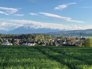 Die National- und Ständeratswahlen 2019: so hat Obfelden entschieden