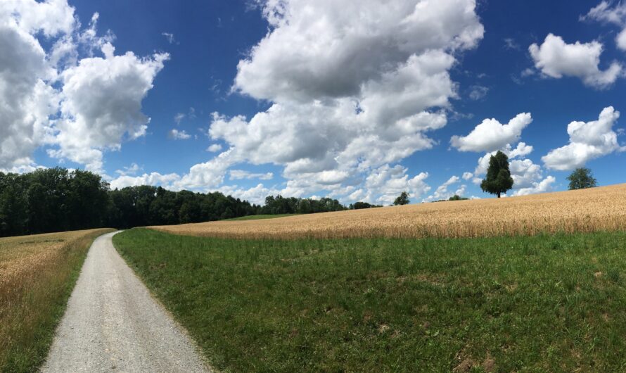 Happy Birthday! 5 Jahre obfelden.info. Vielen Dank!