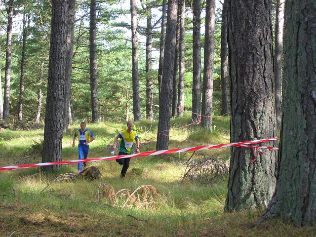 Tentsmuir Forest, Kinshaldy.