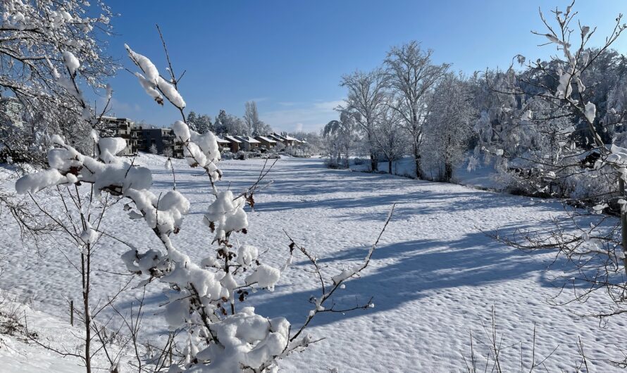 Fotostrecke: Winterliches Obfelden