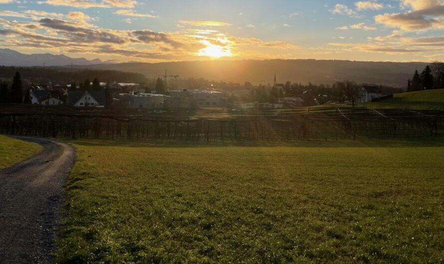 Eine Vorschau auf das neue Jahr