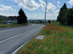VERSCHOBEN (2): Dorfstrasse am Samstag, 6. Juli,  gesperrt + + Umleitungen