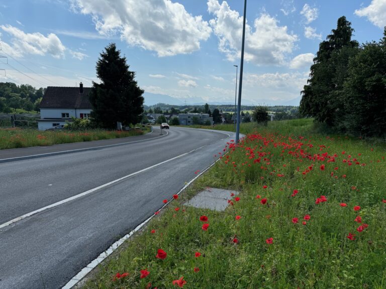 VERSCHOBEN (2): Dorfstrasse am Samstag, 6. Juli,  gesperrt + + Umleitungen
